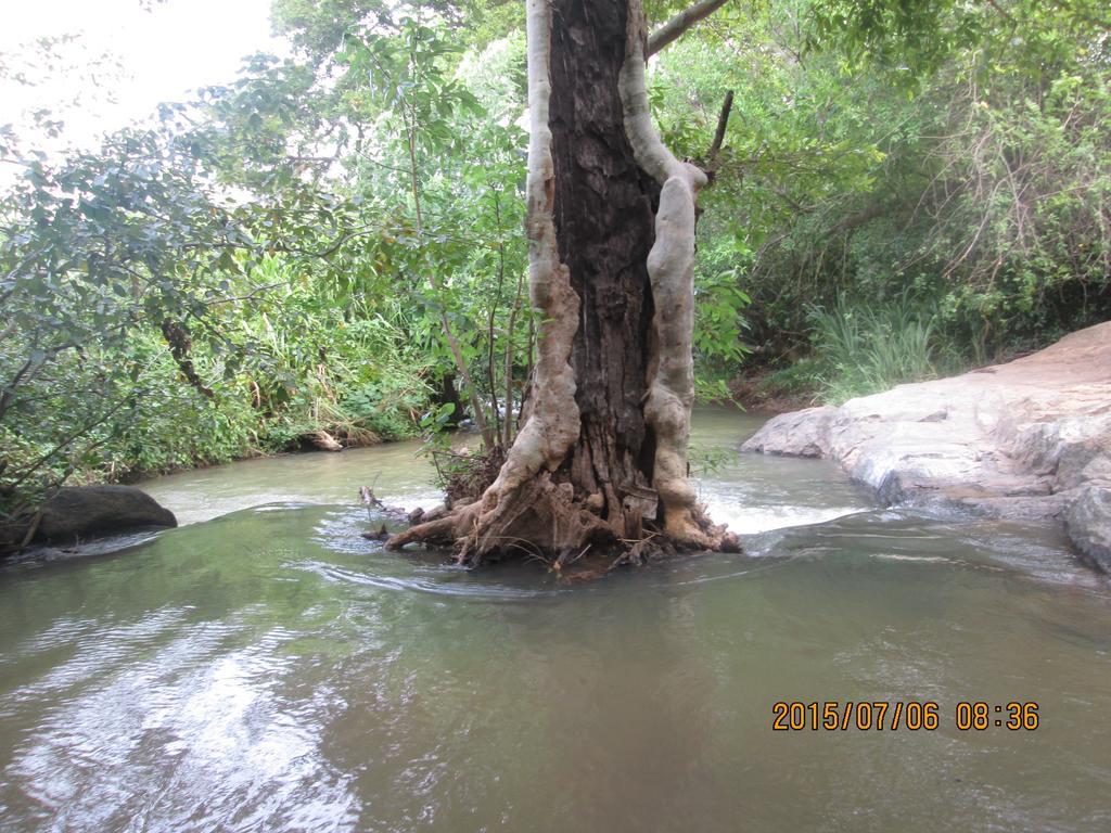 Sigiriya River Side Resort Екстериор снимка