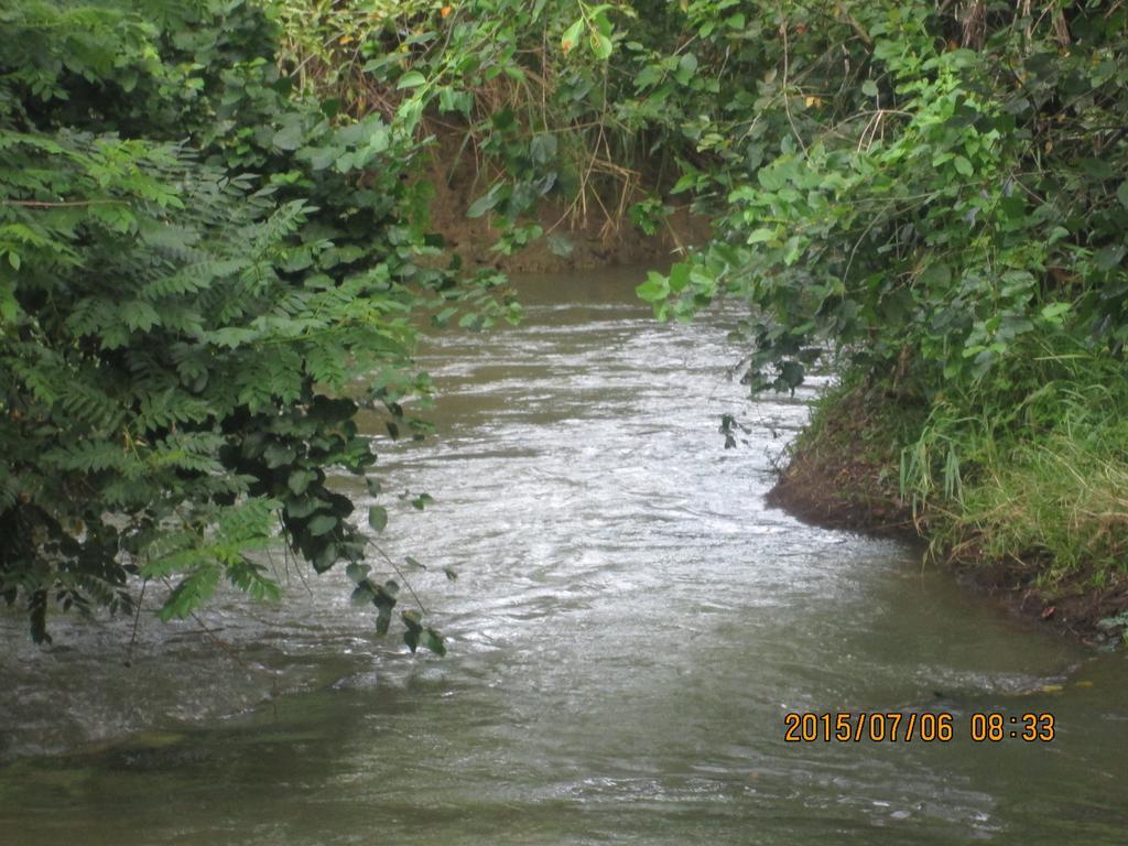 Sigiriya River Side Resort Екстериор снимка