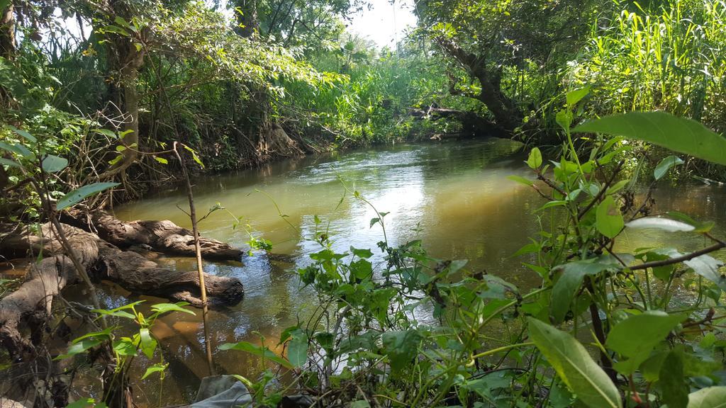 Sigiriya River Side Resort Екстериор снимка