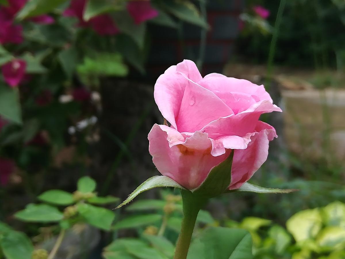 Sigiriya River Side Resort Екстериор снимка