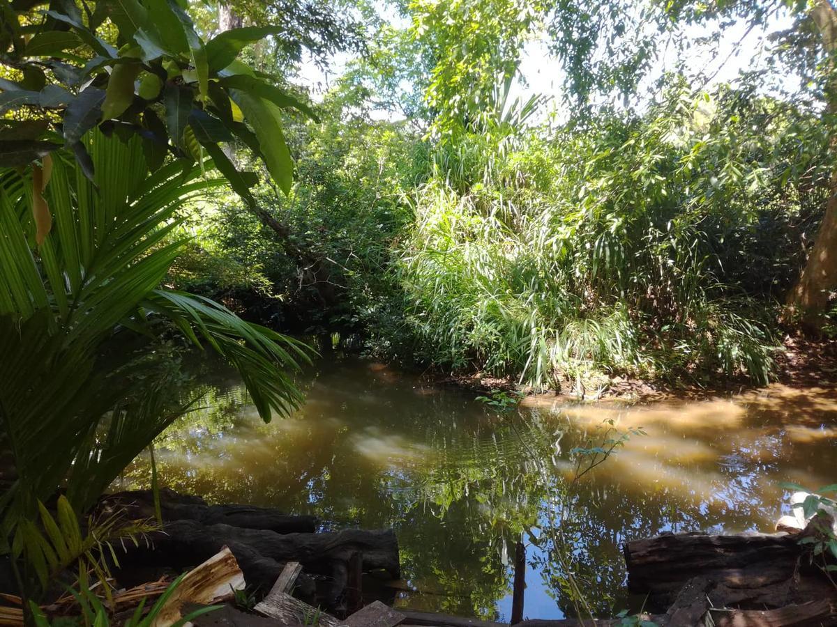Sigiriya River Side Resort Екстериор снимка